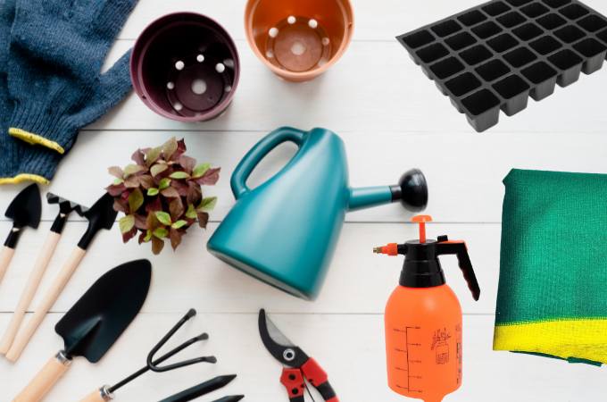 गार्डन में बारहमासी पौधे लगाने के लिए जरूरी चीजें - Things Required For Planting Perennial Plants In Garden In Hindi